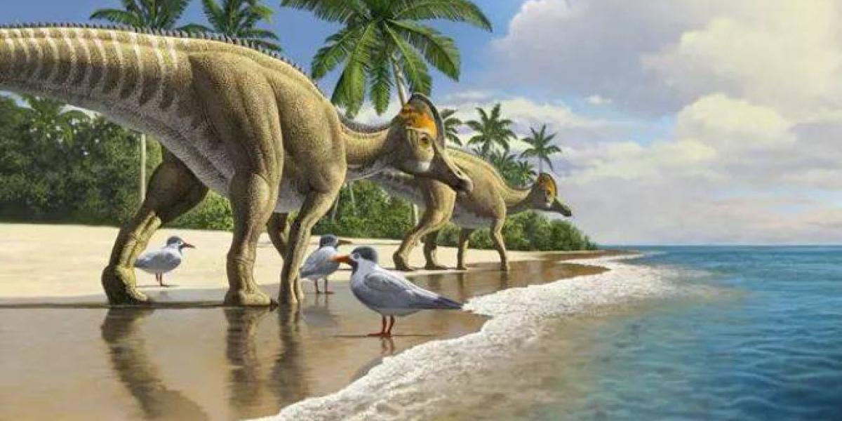 Los dinosaurios pico de pato evolucionaron en América del Norte, extendiéndose a América del Sur, Asia, Europa y finalmente África -