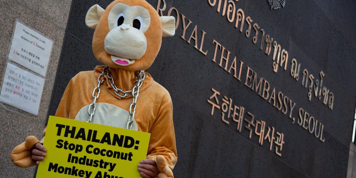 Un miembro de People for the Ethical Treatment of Animals (PETA) con un disfraz de mono protesta frente a la Embajada de Tailandia en Seúl, Corea del Sur, 05 de marzo de 2021.