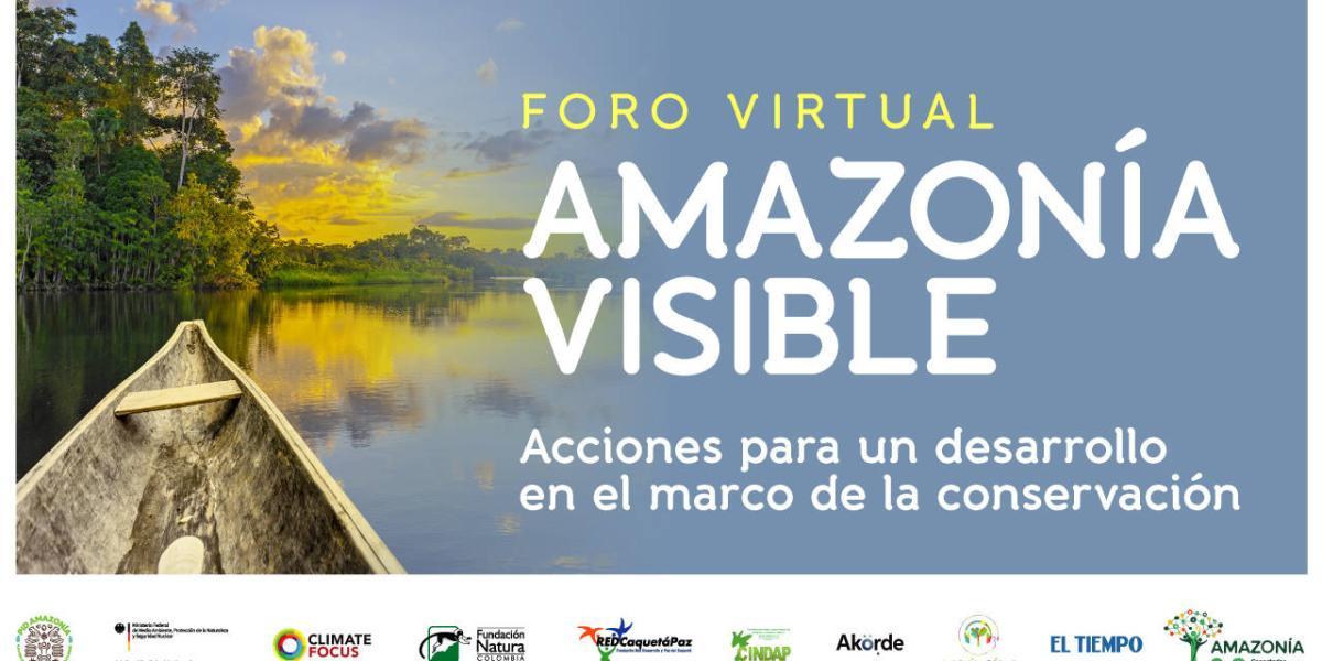 Amazonía visible: acciones para su conservación y desarrollo