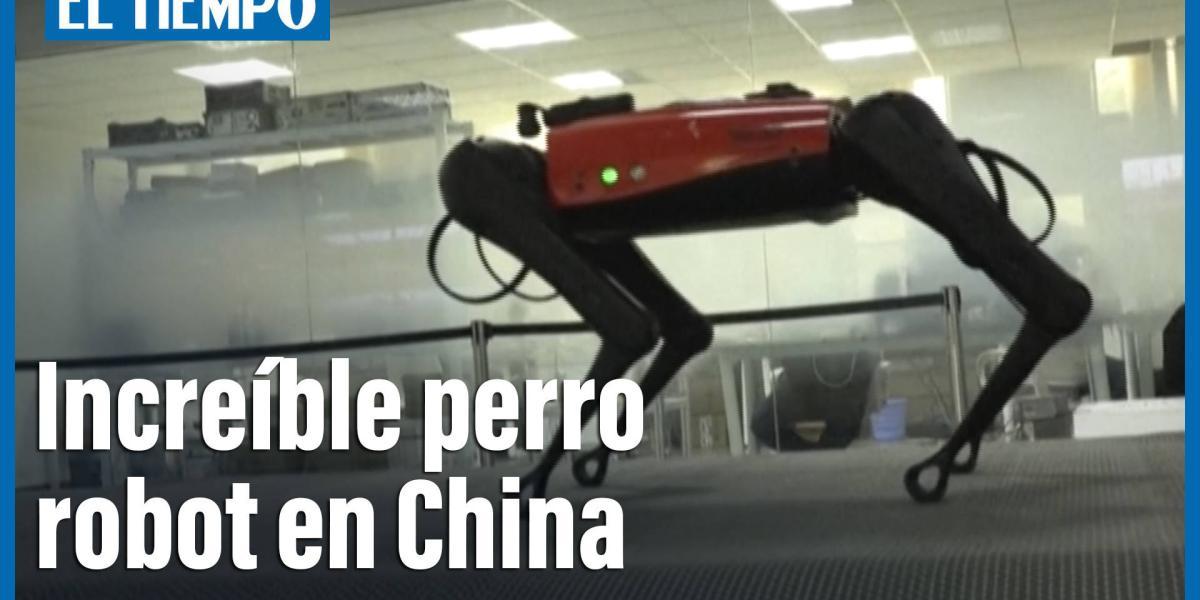 Increíble perro robot en China