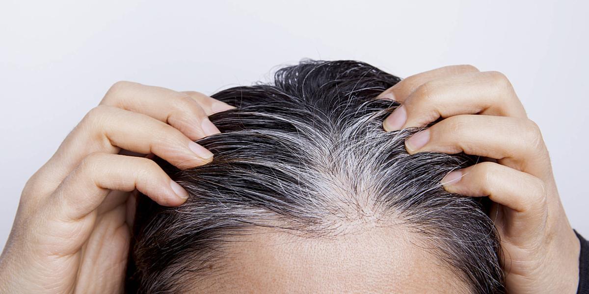 Los investigadores desarrollaron un modelo matemático que simula el encanecimiento una cabellera a lo largo de la vida.