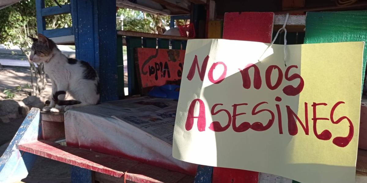 Santa Marta: Envenenamiento de gatos en polideportivo