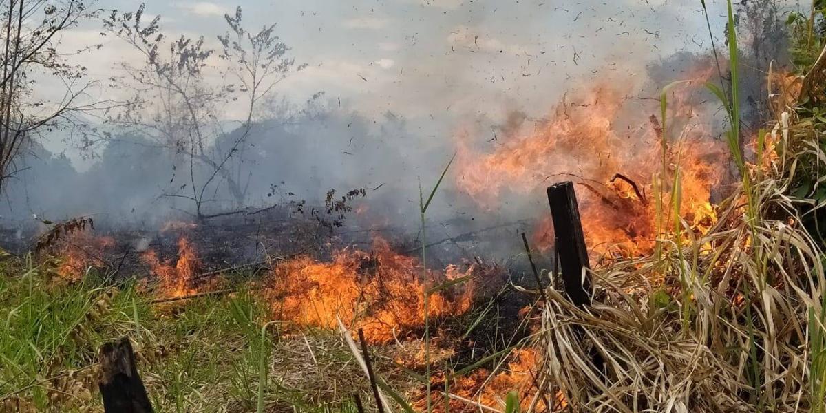 Así avanzan los incendios forestales en 7 municipios de Huila.