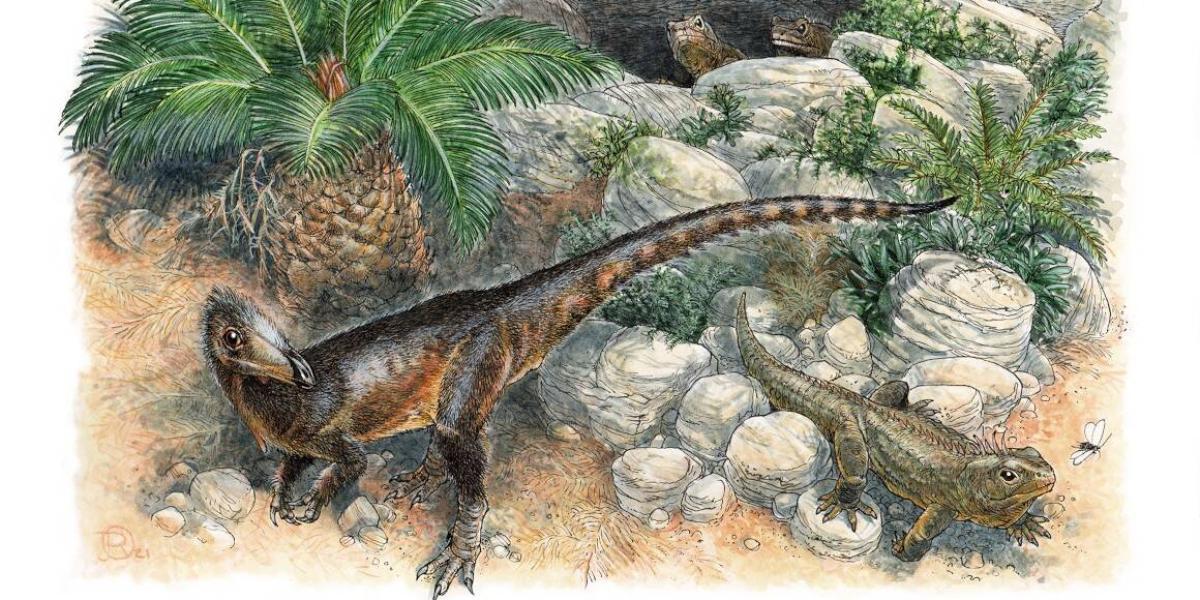 Pendraig milnerae era una pequeña especie de dinosaurio carnívoro que vivía en lo que hoy es el sur de Gales.