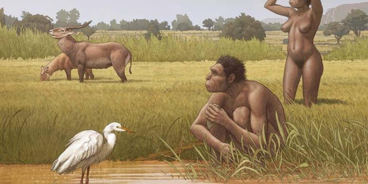 Homo bodoensis, una nueva especie de ancestro humano, vivió en África durante el Pleistoceno medio.