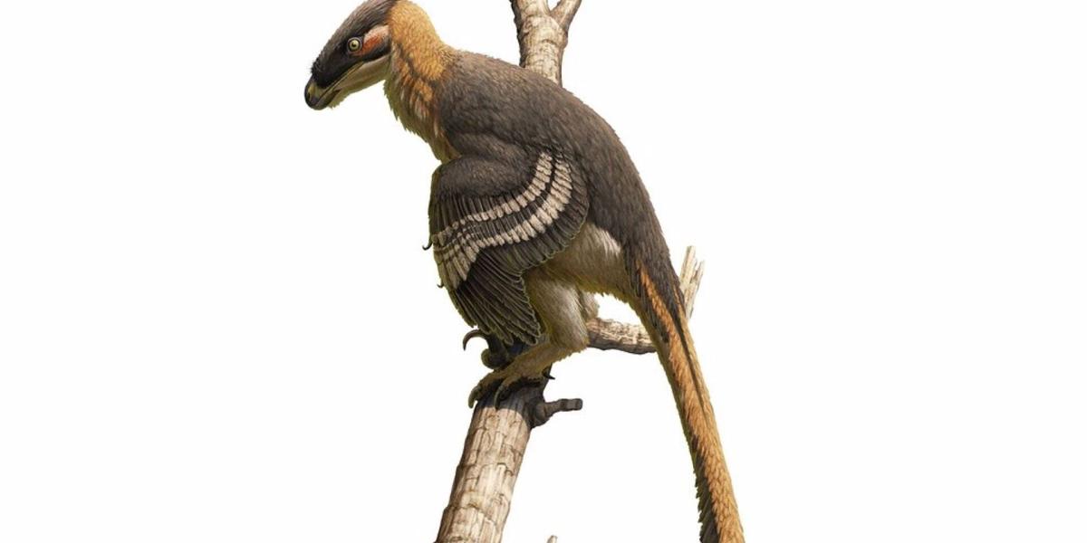 Vectiraptor greeni, un feroz dinosaurio depredador de la Isla de Wight -