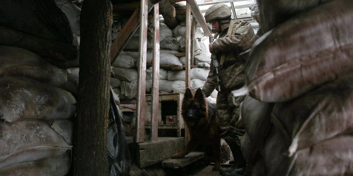 Un militar de las Fuerzas Militares de Ucrania y su perro ingresan a un refugio en primera línea.