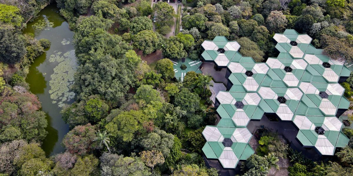 Jardín Botánico de Medellín cumple 50 años de fundación