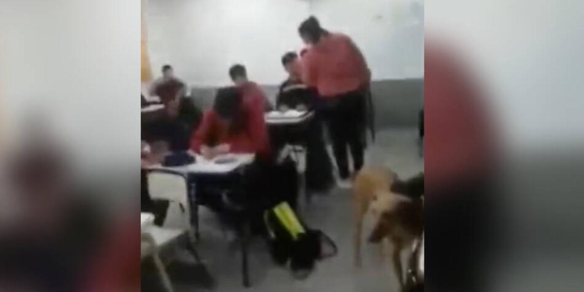 La mujer ingresó hasta el salón de clases para agredir al joven.