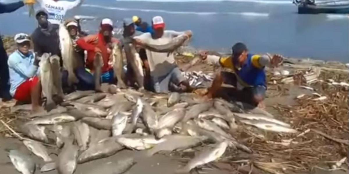 La pesca abundante en Puerto Colombia