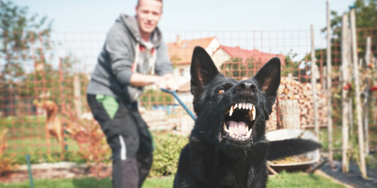 son perros de 5 meses agresivos