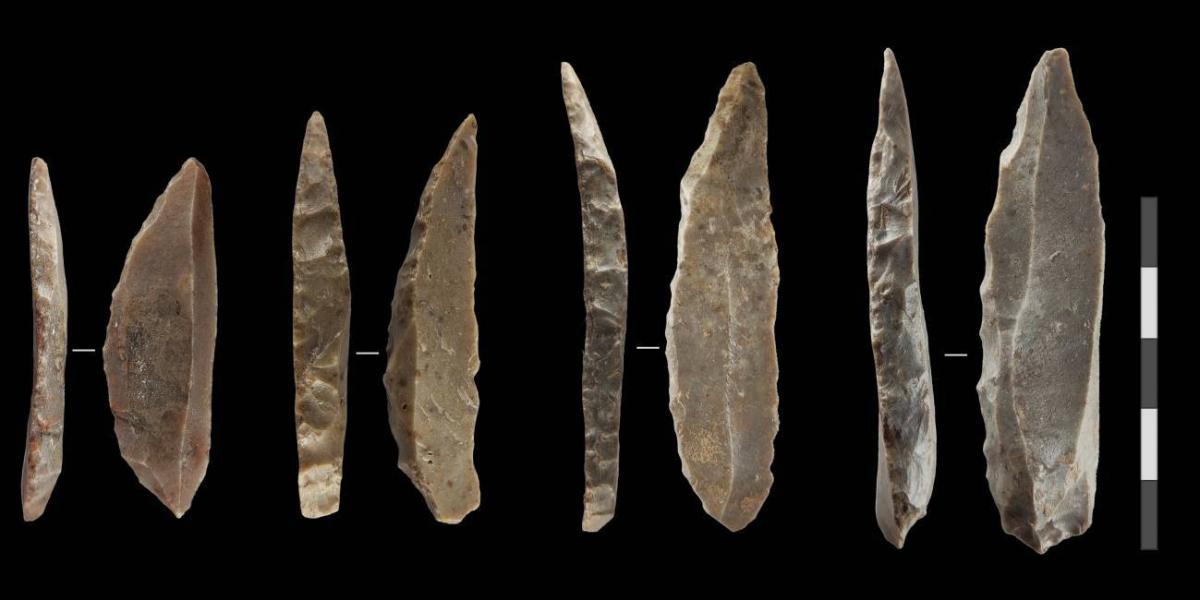 Neandertales y humanos modernos coexistieron en Europa, según estudio