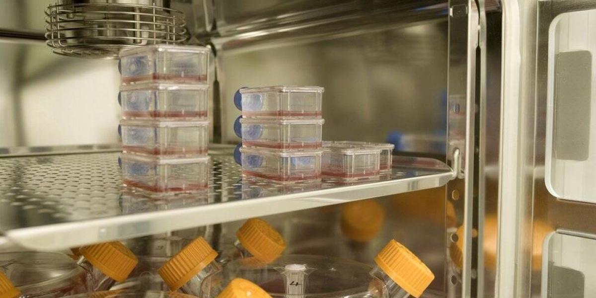 La sangre artificial en un laboratorio de Bristol.