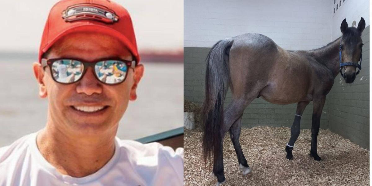 Jhonny Rivera Así Avanza Recuperación De Valentino El Caballo Que Adoptó