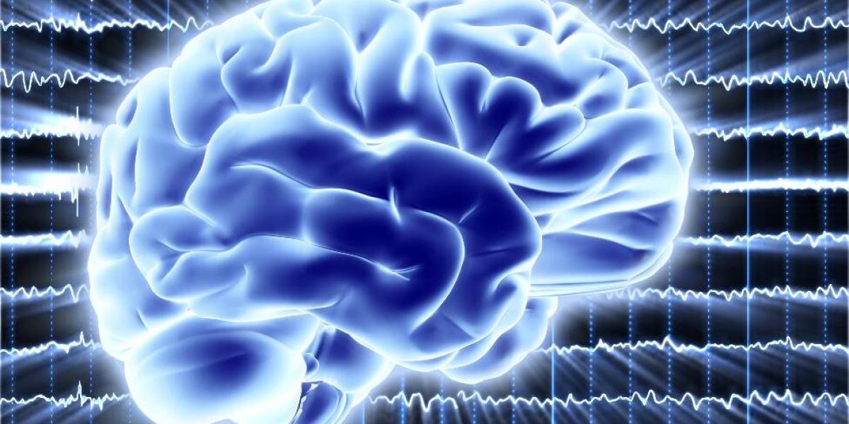 "Queríamos probar que el cerebro se puede comportar de una manera cuántica", señaló el científico español David López Pérez.