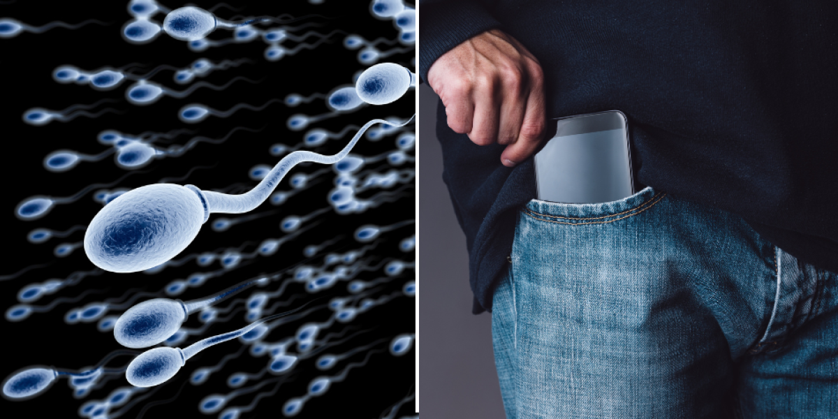 Llevar el celular en el bolsillo puede afectar a los espermatozoides?