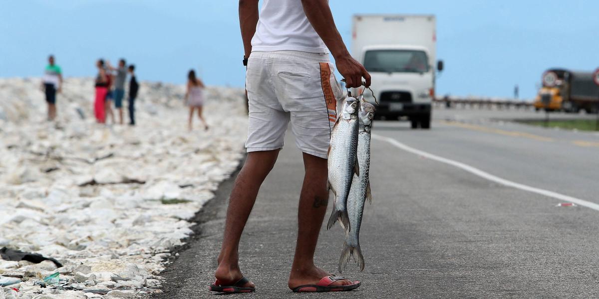 Pescadores en la carretera que comunica a Barranquilla con Santa Marta, en el Parque Isla de Salamanca (Colombia).