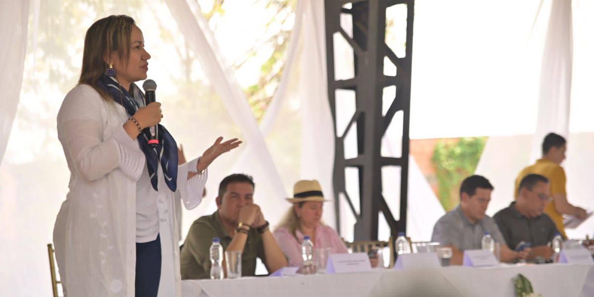 Ministra de Salud, Carolina Corcho, desde la audiencia pública de la reforma de la salud en Arauca.