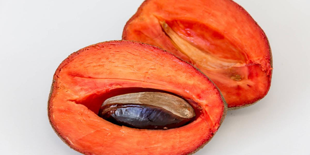 Zapote ¿dónde se da el zapote en Colombia?