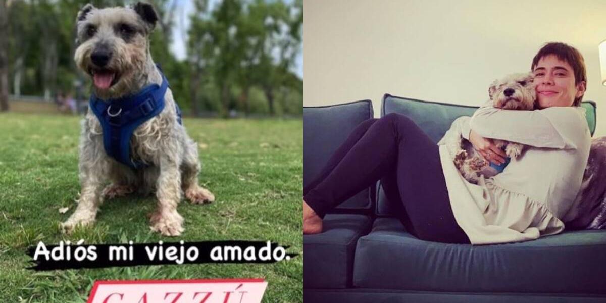 el perro de carolina puede ser negro