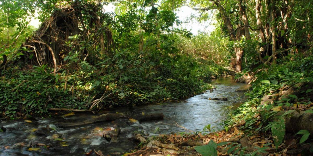 La Guajira: el río Ranchería aumentó su caudal