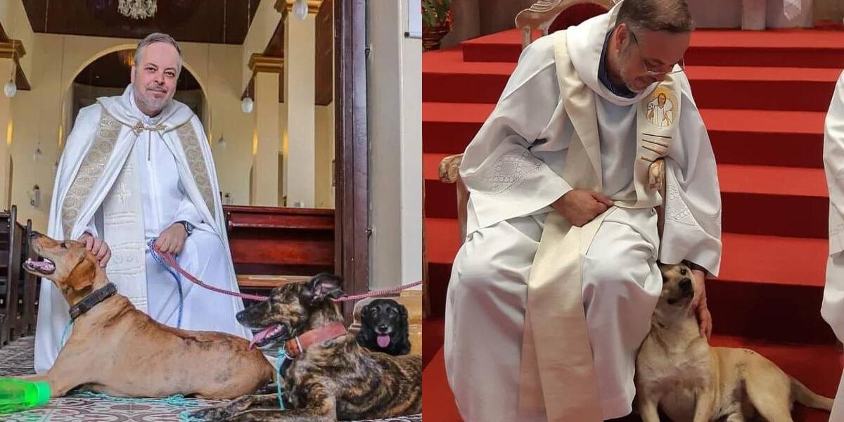 Sacerdote recoge a perros abandonados y aprovecha misa para darlos en adopción
