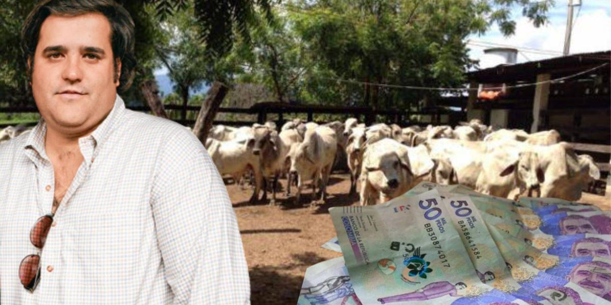 Felipe Rocha: comienzan embargos a sus propiedades por presunta estafa ...