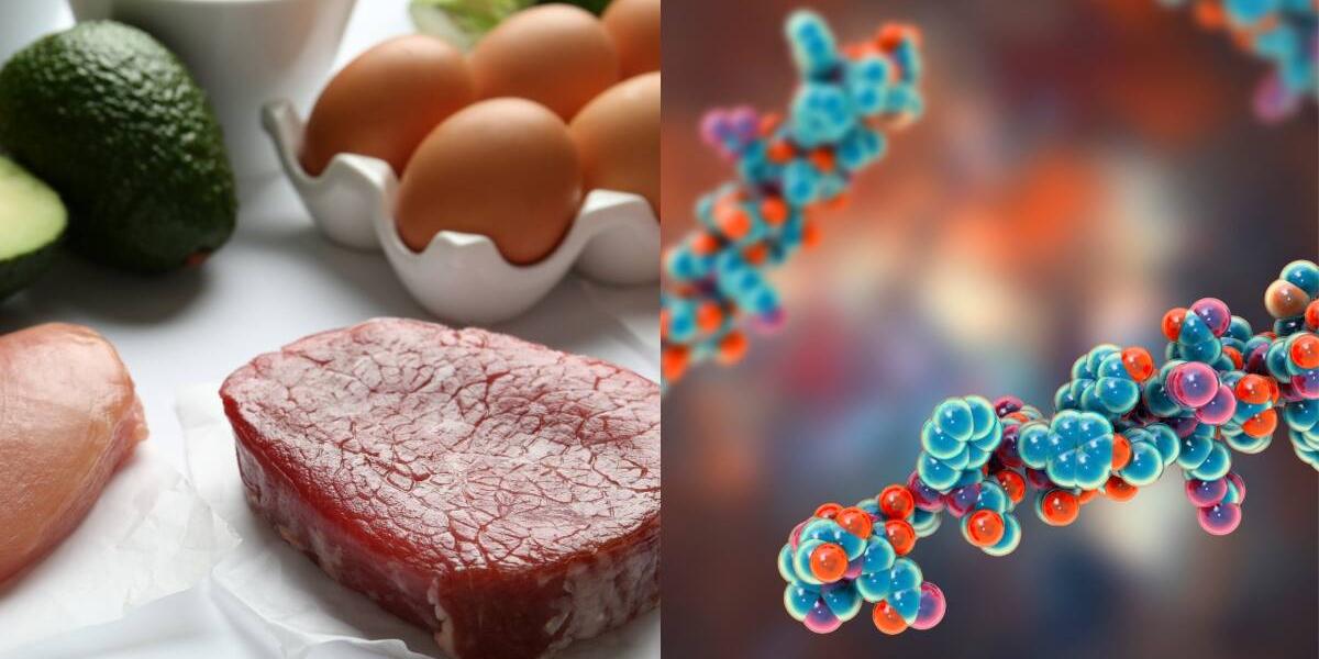 Aminoácidos esenciales: alimentos que contienen los que el cuerpo necesita