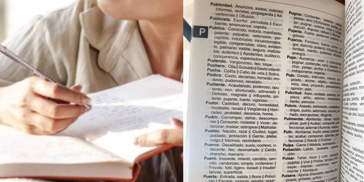 Ortografía: ¿cuáles son las diferencias entre publico, público y publicó?