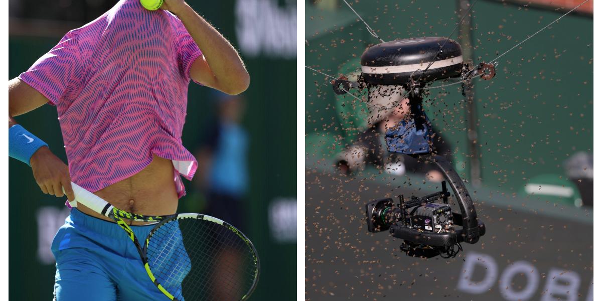 Alerta En Indian Wells Abejas Invaden La Cancha Y Generan Pánico