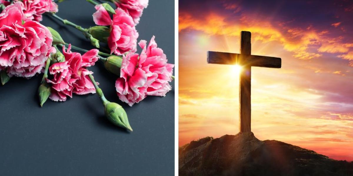 Significado espiritual del clavel ¿por qué debe tenerlo en su hogar en