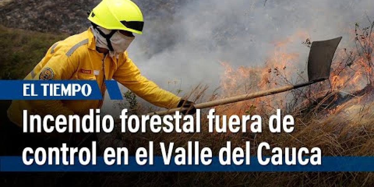 Incendios Forestales Lo Que Hay Detrás Del Fuego Que Hizo Arder