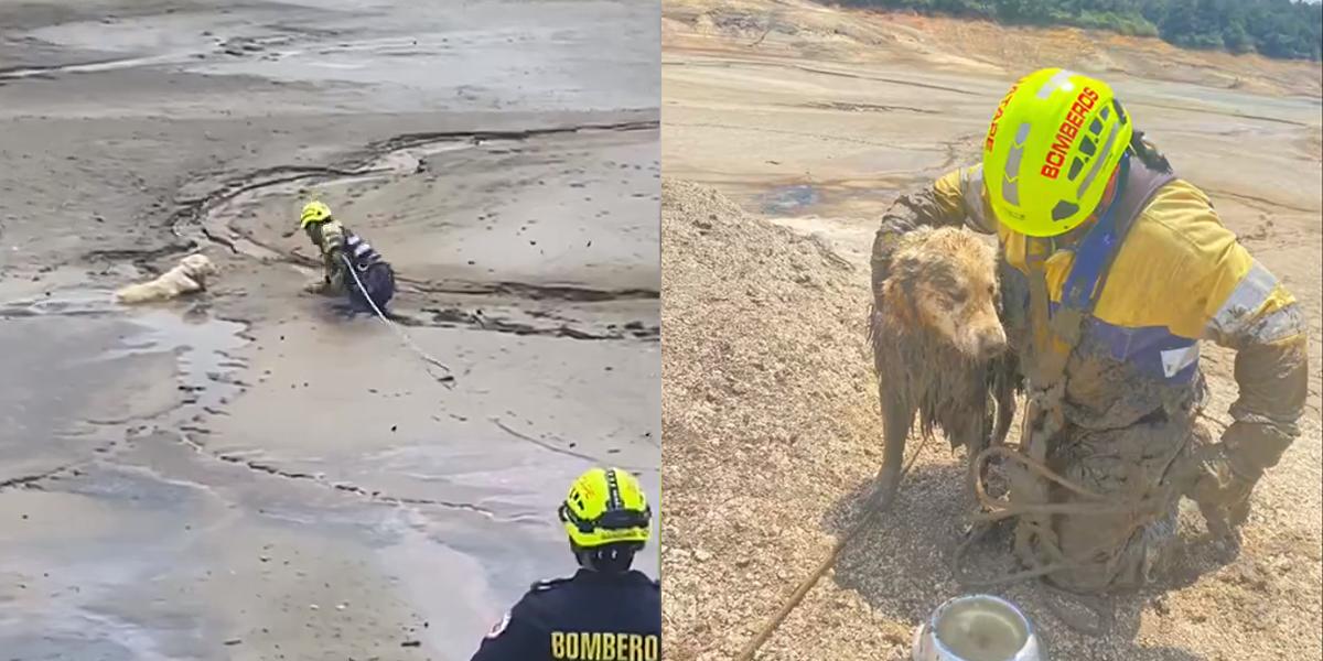 Antioquia: bomberos rescatan a un perro atrapado en el embalse de Guatapé