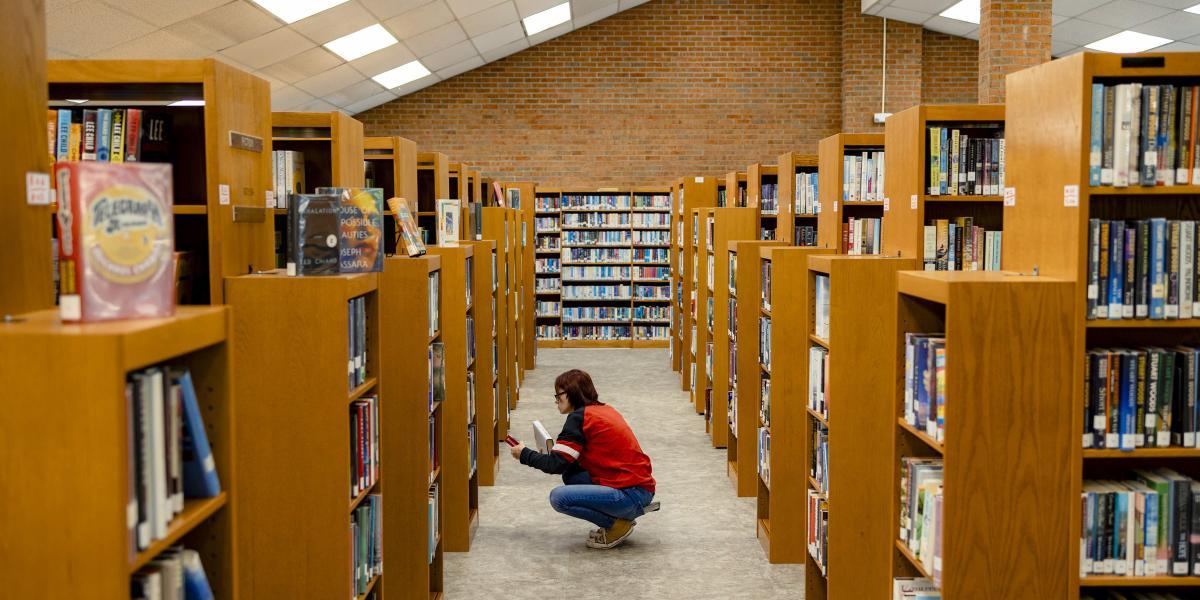 Por qué los bibliotecarios son considerados como criminales en  