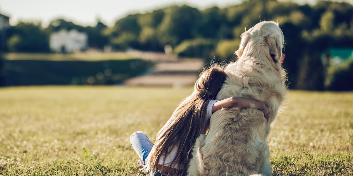 como hacer para que un perro te respete