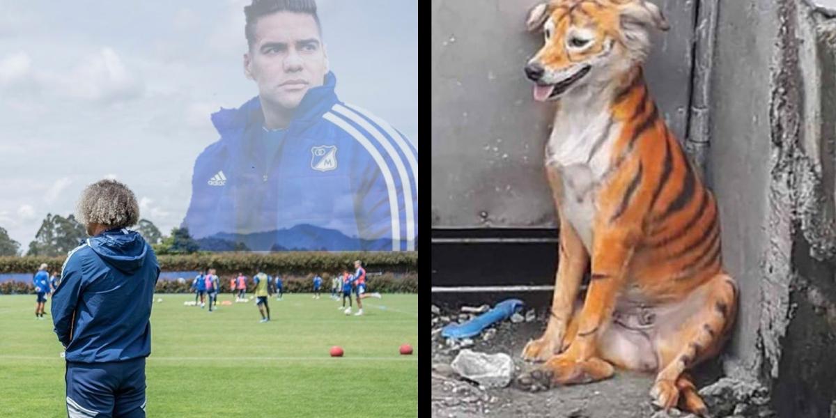 Millonarios sueña con la llegada de Falcao y los memes ya predicen cómo ...