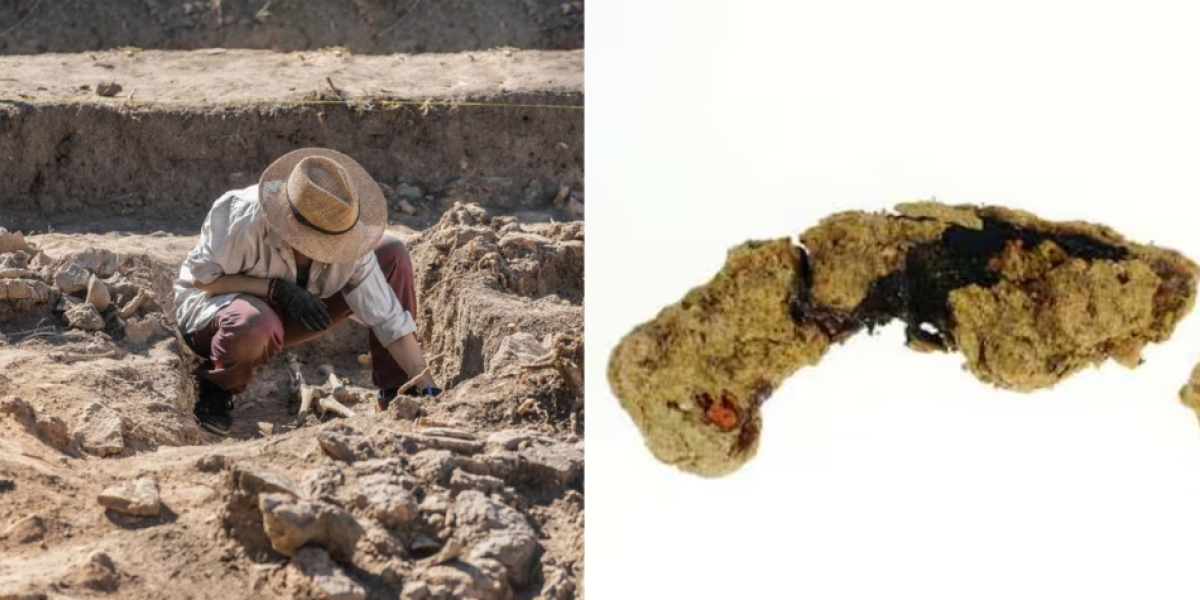 Desentierran los rastros de un campamento romano y descubren una ...