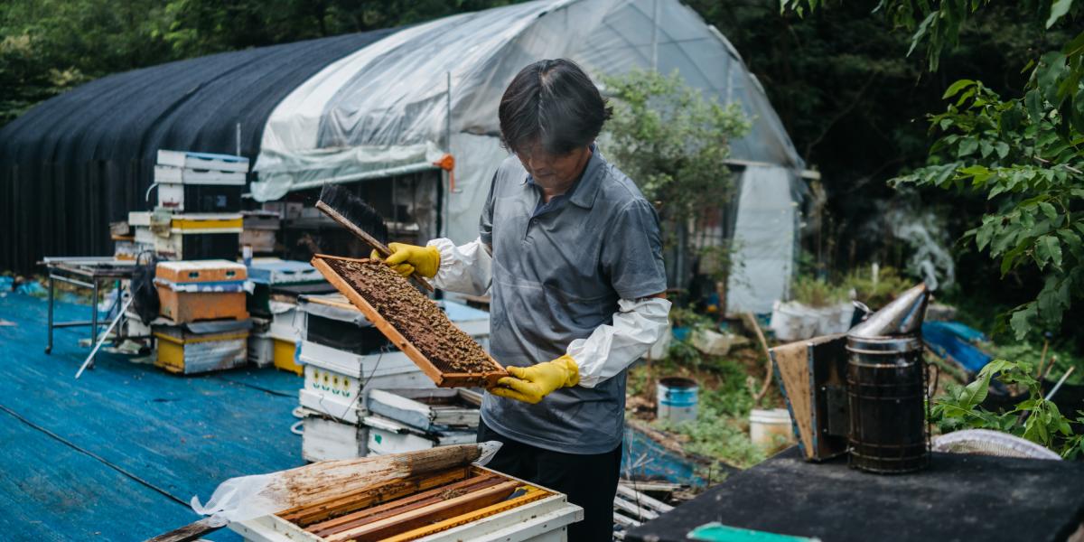 Cho Seong-hoan en su granja de abejas en la Zona de Control Civil, un área cerrada a la mayoría de los civiles.