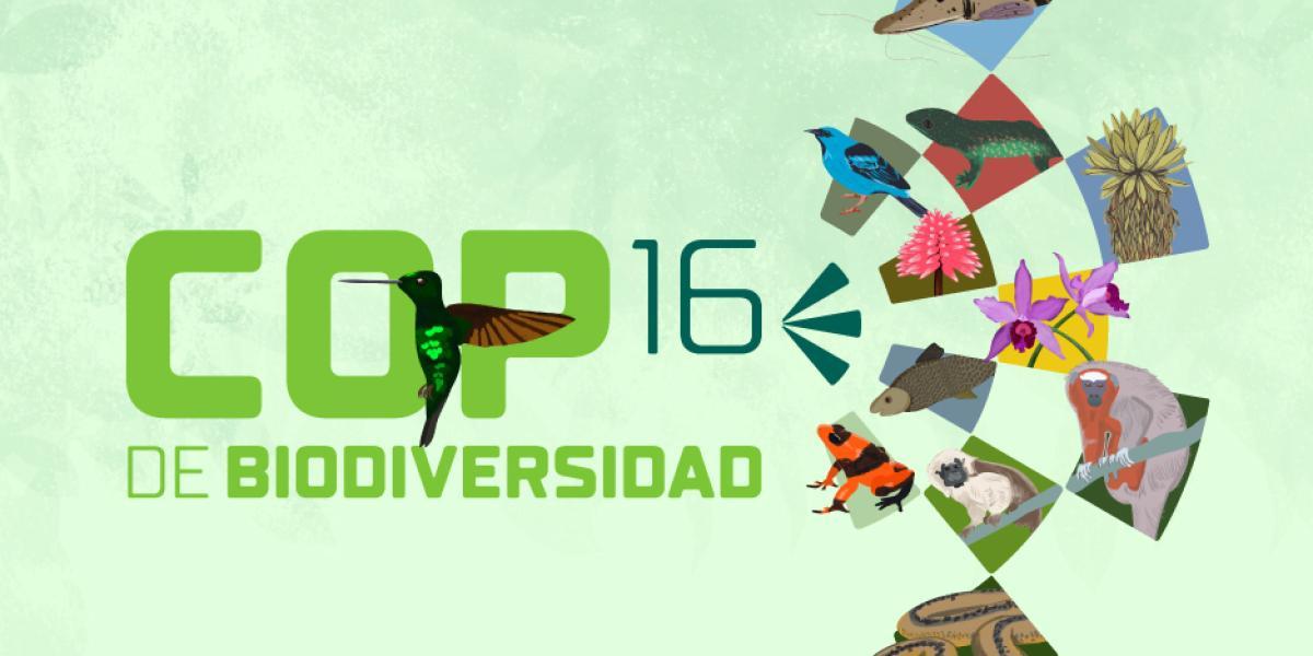 COP16: ¿Qué es, por qué es importante y qué le deja a Colombia la Cumbre de  Biodiversidad?