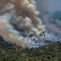 Incendios en el Amazonas