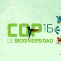 Share especial COP16