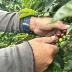 El futuro del paro se definiría mañana 28 de noviembre durante una nueva reunión entre los líderes del gremio y la ministra de Agricultura, Jhenifer Mojica.