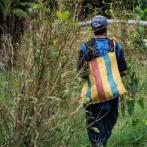 Uno de los 99.097 cultivadores vinculados al Pnis recorre una siembra de coca en Caquetá.