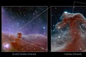 El telescopio espacial James Webb ha captado imágenes de la icónica nebulosa "Cabeza de Caballo" -una nube de gas fría situada a unos 1.300 años luz de la Tierra- con un nivel de detalle y una resolución sin precedentes.