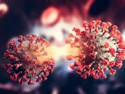Los científicos creen que puede ser más contagiosa.