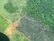 Ganader??a extensiva, acaparamiento de tierras, construcci??n de v??as ilegales y cultivos il??citos impulsan la deforestaci??n en la Amazonia.
