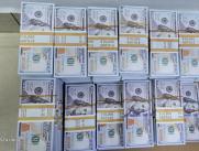 Dólares falsificados incautados por las autoridades.