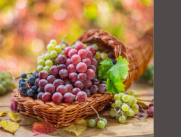 Expertos hablan de los beneficios del resveratrol, ¿es tan bueno como dicen?