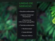 + Verde