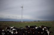 Uruguay genera casi toda su electricidad de fuentes renovables. Energía eólica en un parque cerca de Montevideo.